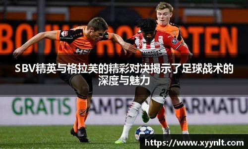 zoty中欧官方网站