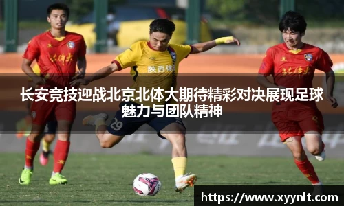 zoty中欧官方网站