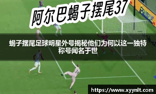 zoty中欧官方网站